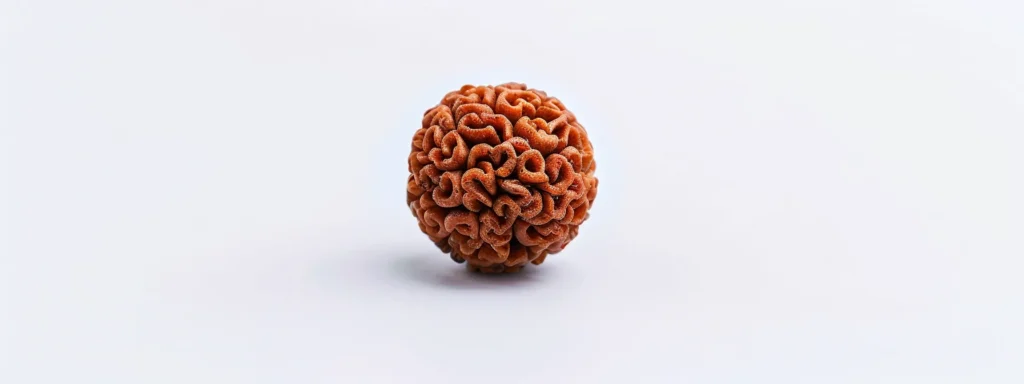 a close-up shot of a vibrant, intricately patterned sixteen mukhi rudraksha bead held against a clean, white background for authenticity verification.