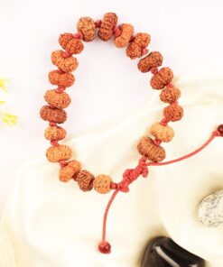 14 Mukhi Hanuman Therapy