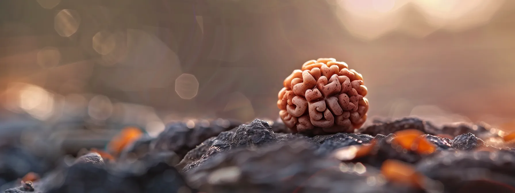 a close-up photo of a serene thirteen mukhi rudraksha bead, radiating spiritual significance and balance, against a backdrop reminiscent of mount kailash.